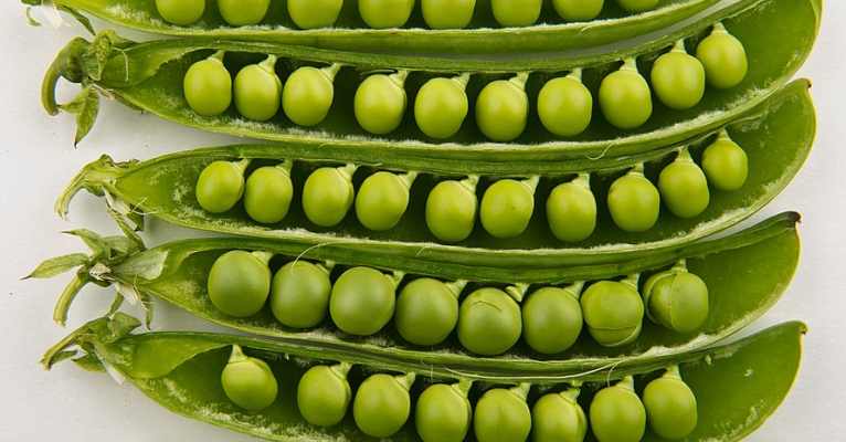 Cargill increases PURIS investment(图1)