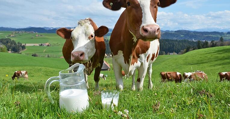 Arla reports results, sees ＂rare stability＂(图1)
